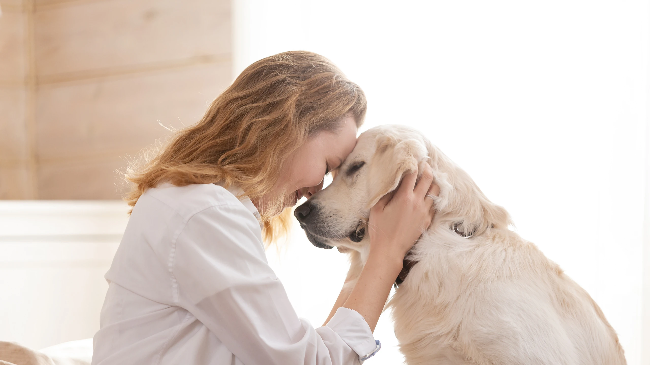 Una veterinaria atiende a una mascota